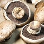 Menu55 - Šampiňóny 50g